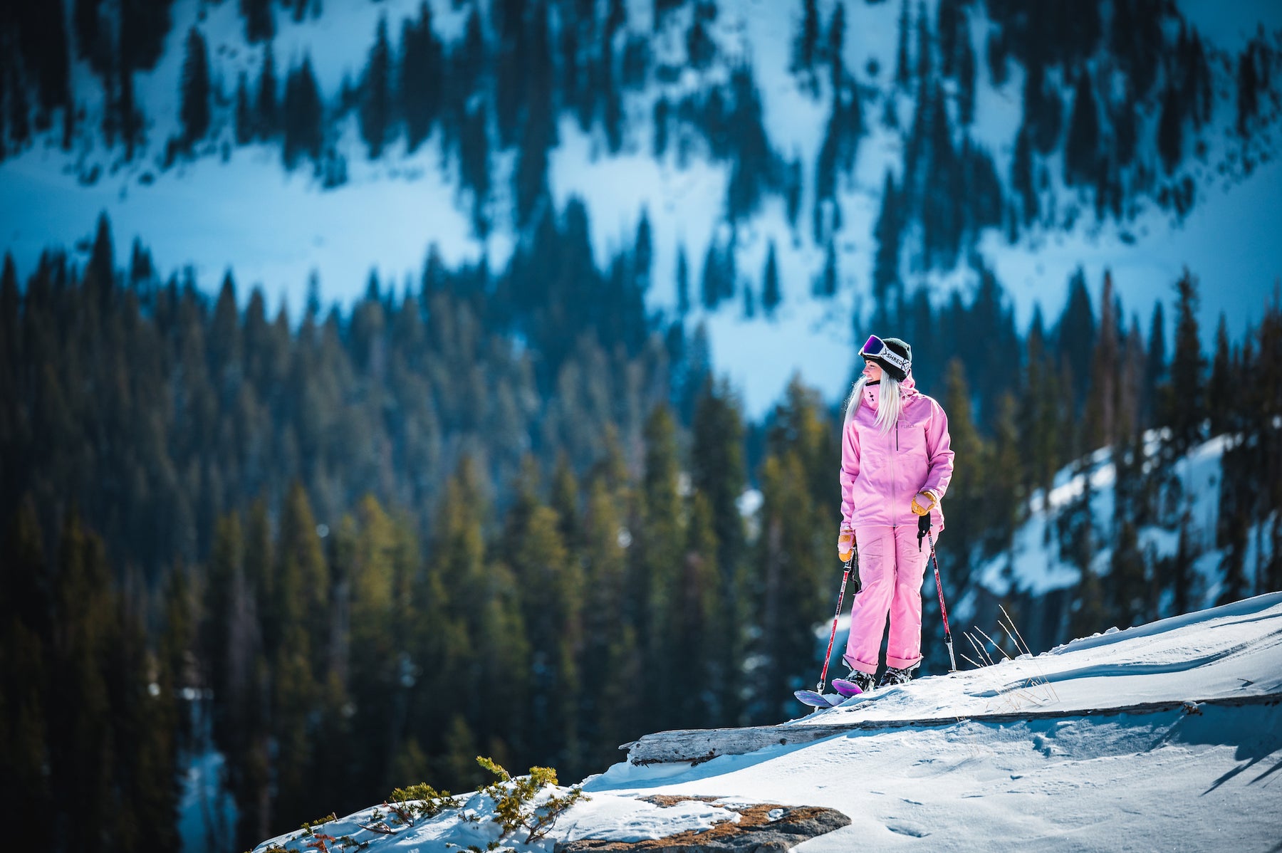 Sego Ski Co.